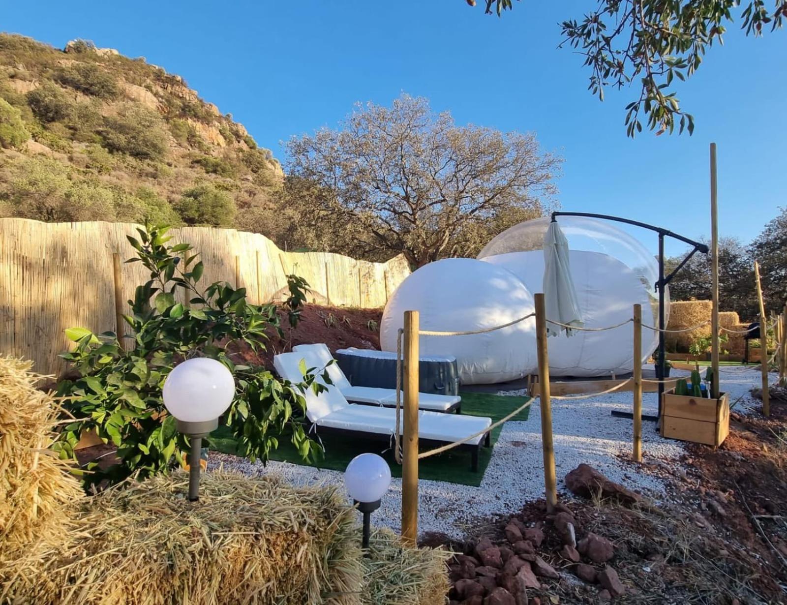 Luxe tent Glamping Burbuja Almendros *