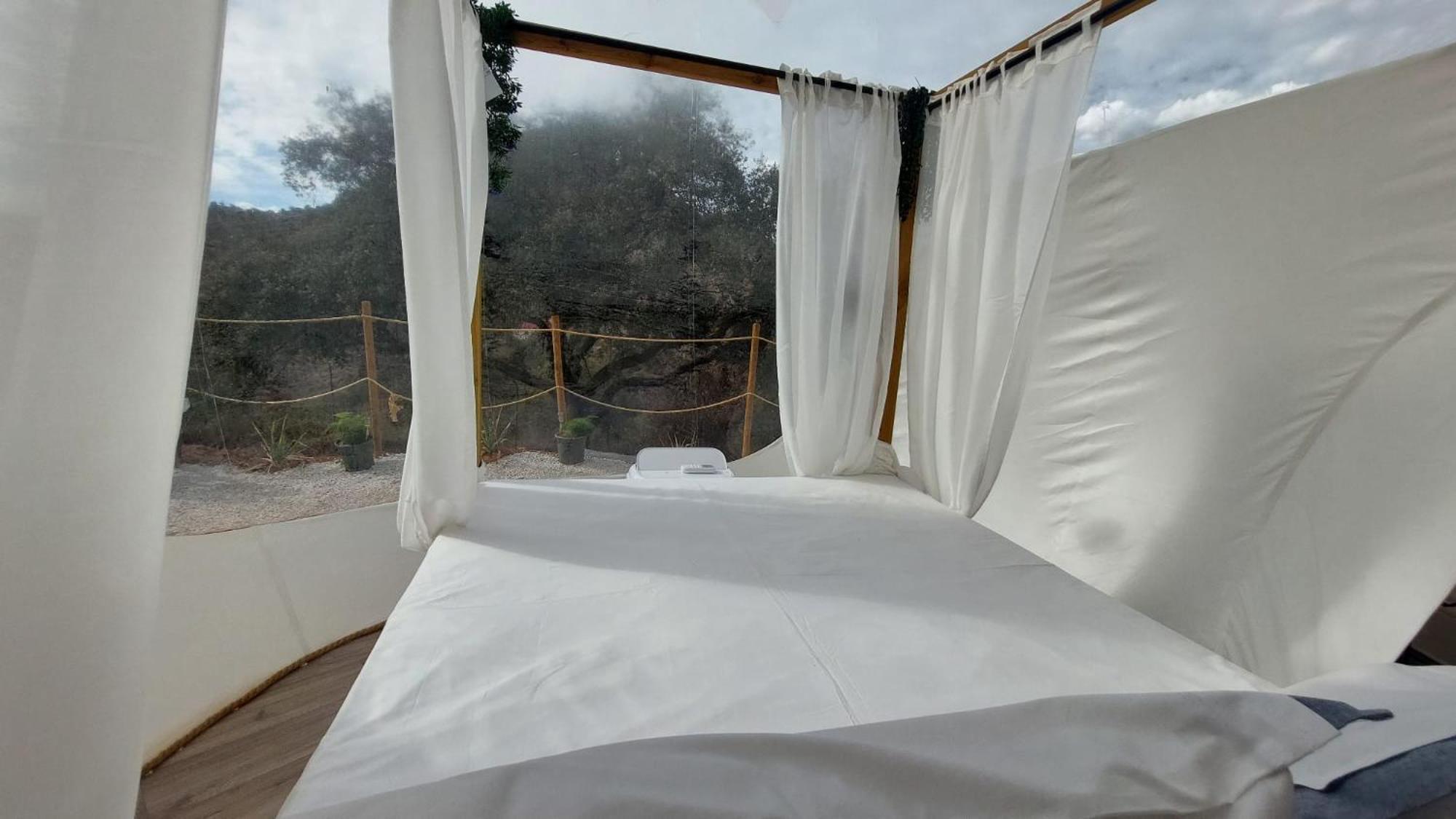 Glamping Burbuja Almendros Málaga