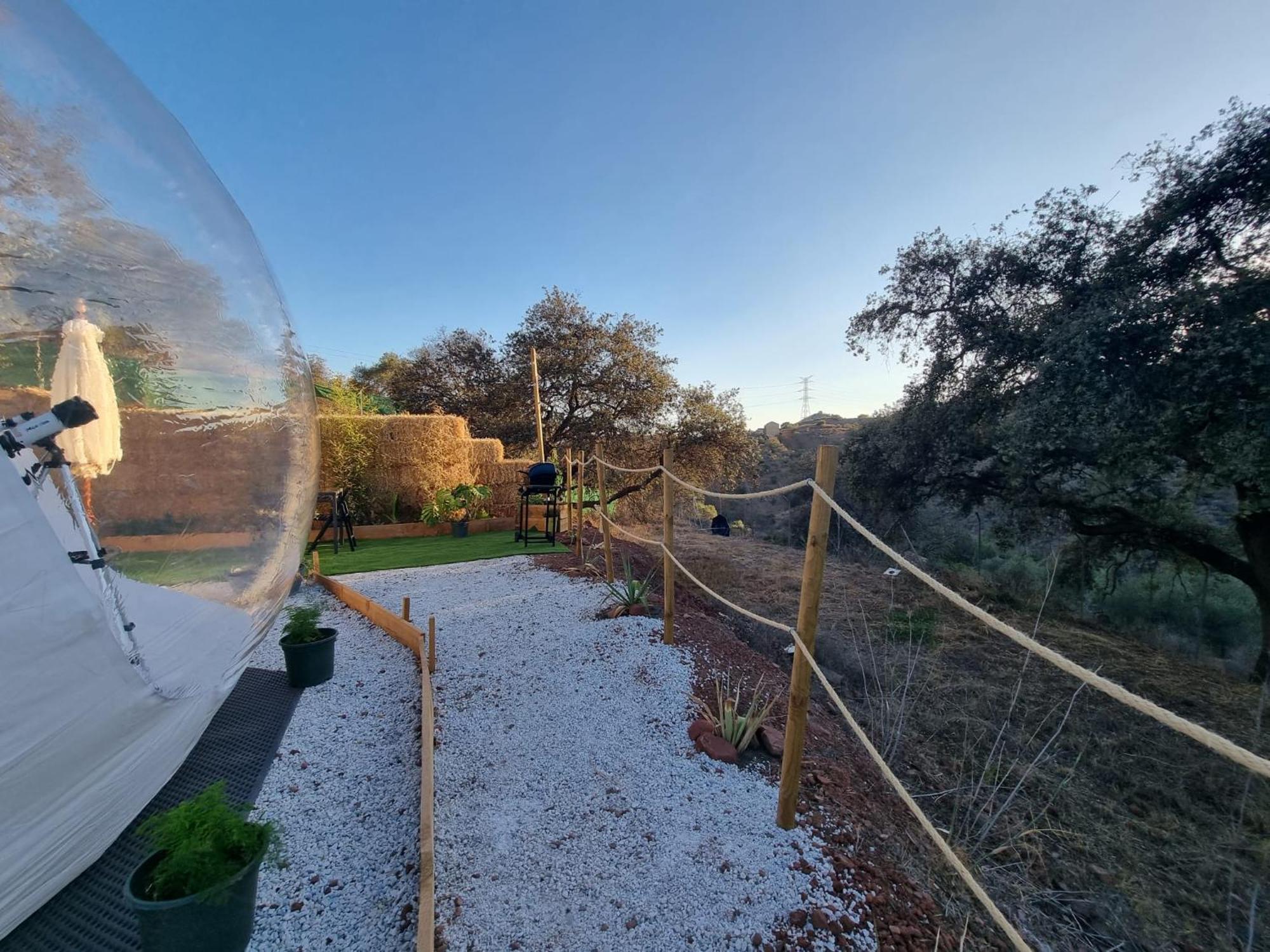 Luxury tent Glamping Burbuja Almendros *