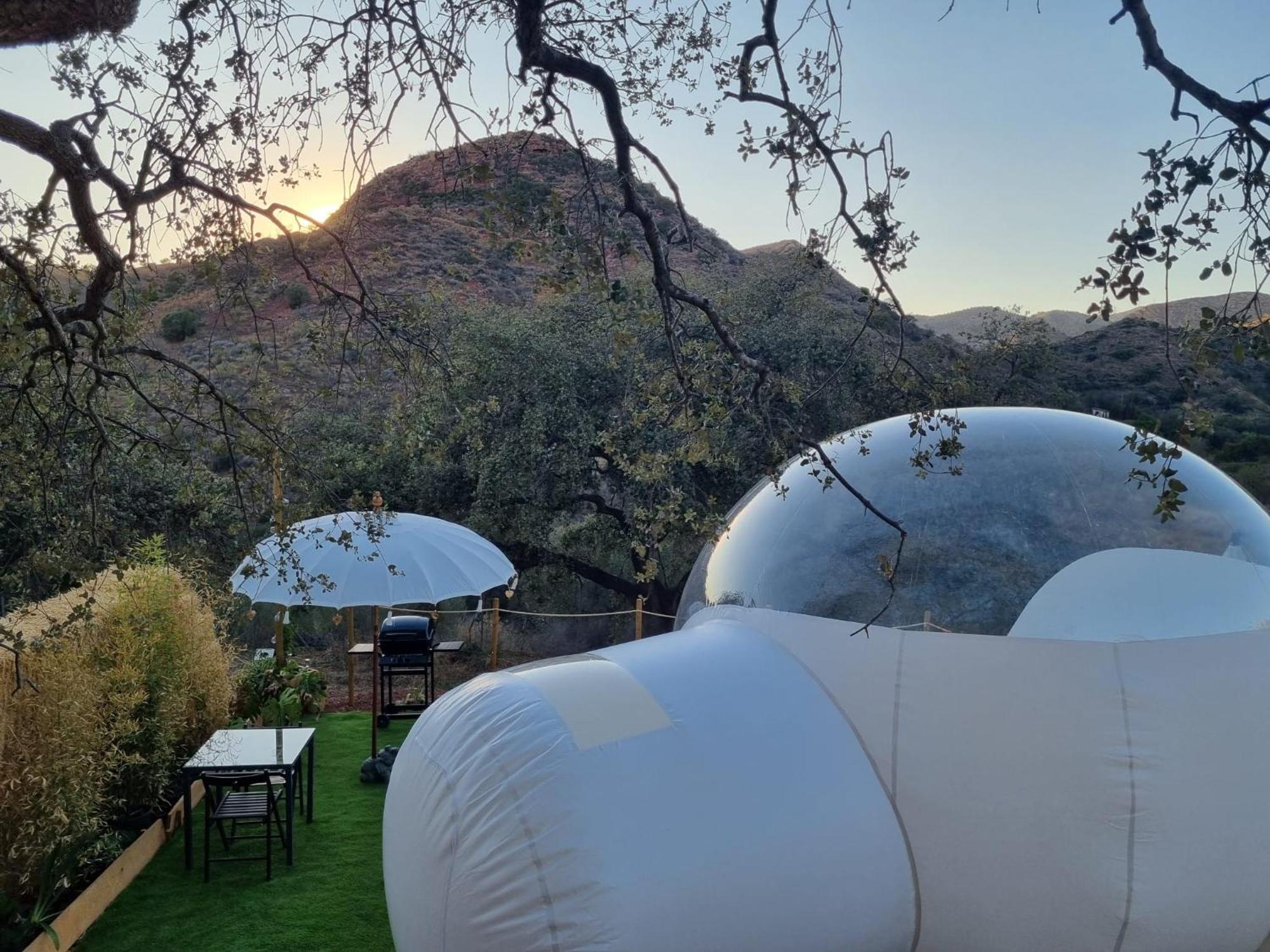 Glamping Burbuja Almendros Luxury tent *