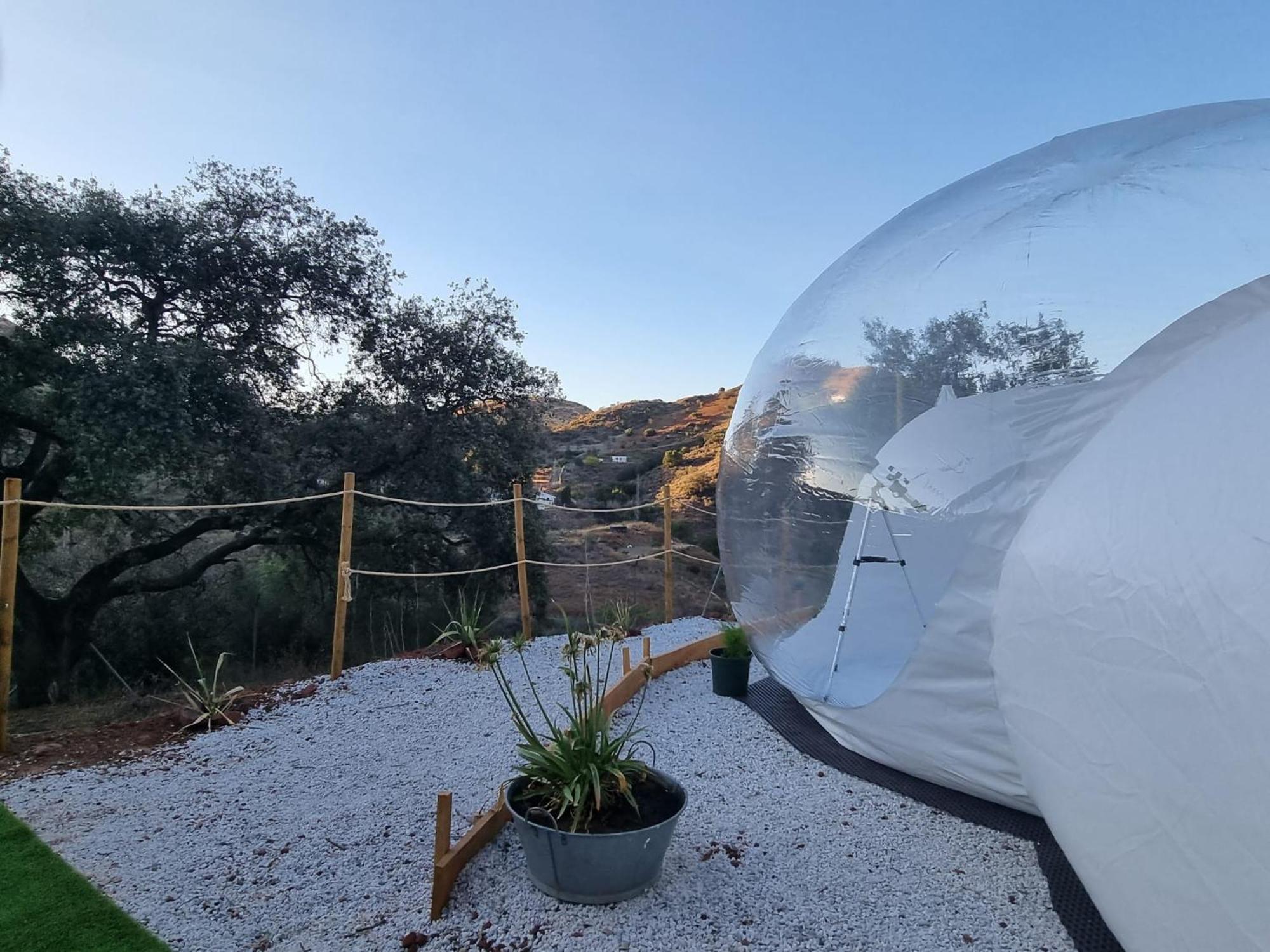 Glamping Burbuja Almendros