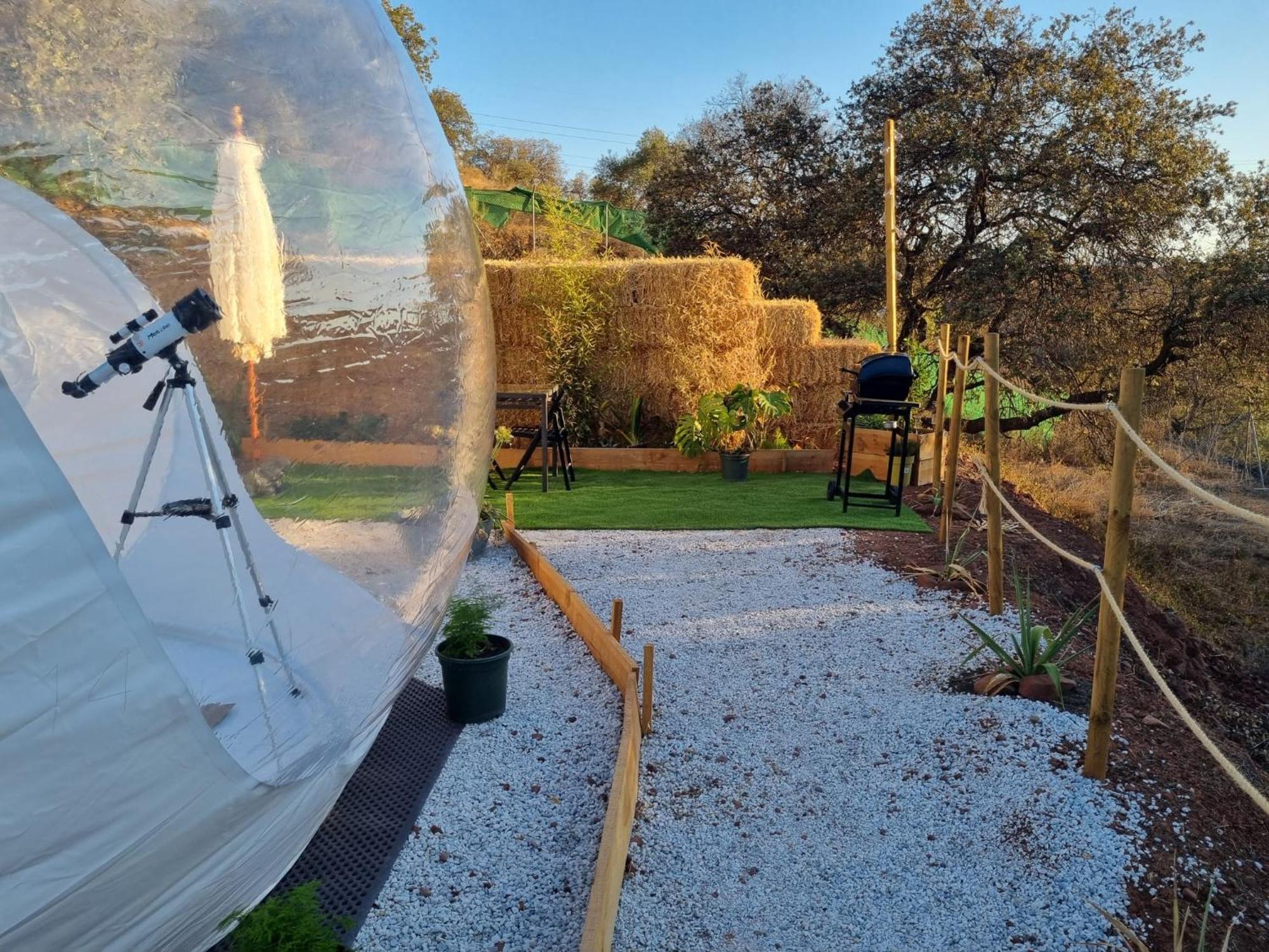 Glamping Burbuja Almendros *