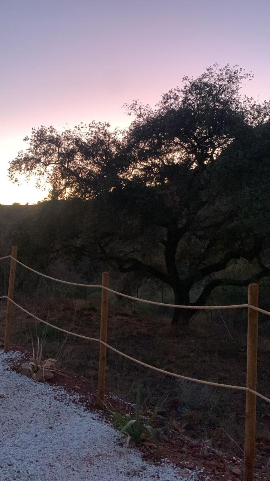 Glamping Burbuja Almendros Luxury tent