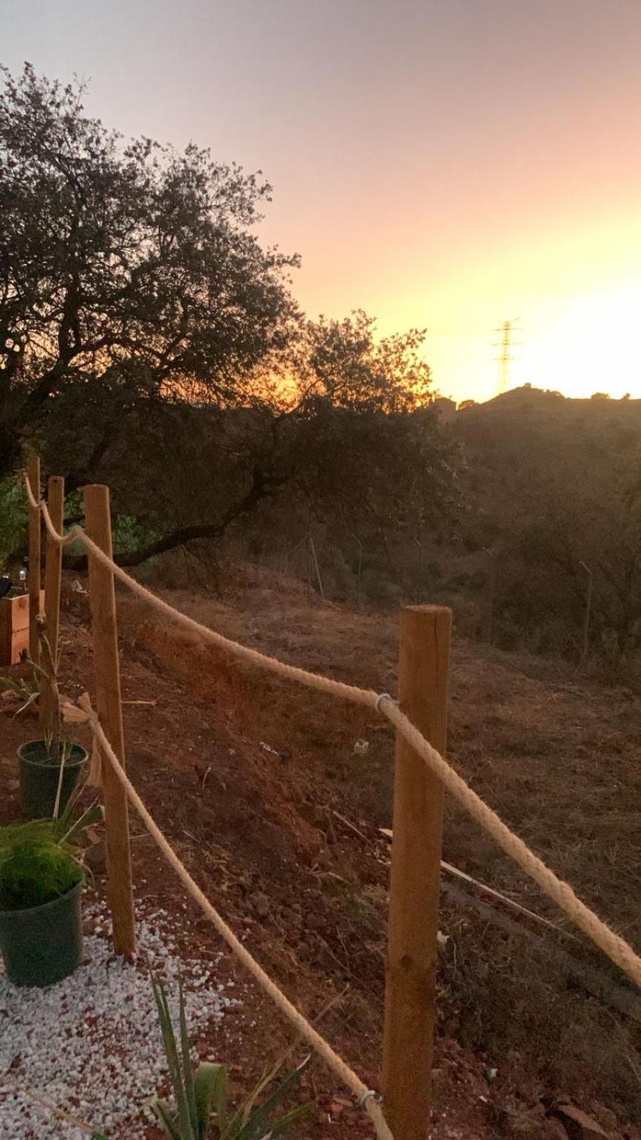 Glamping Burbuja Almendros *