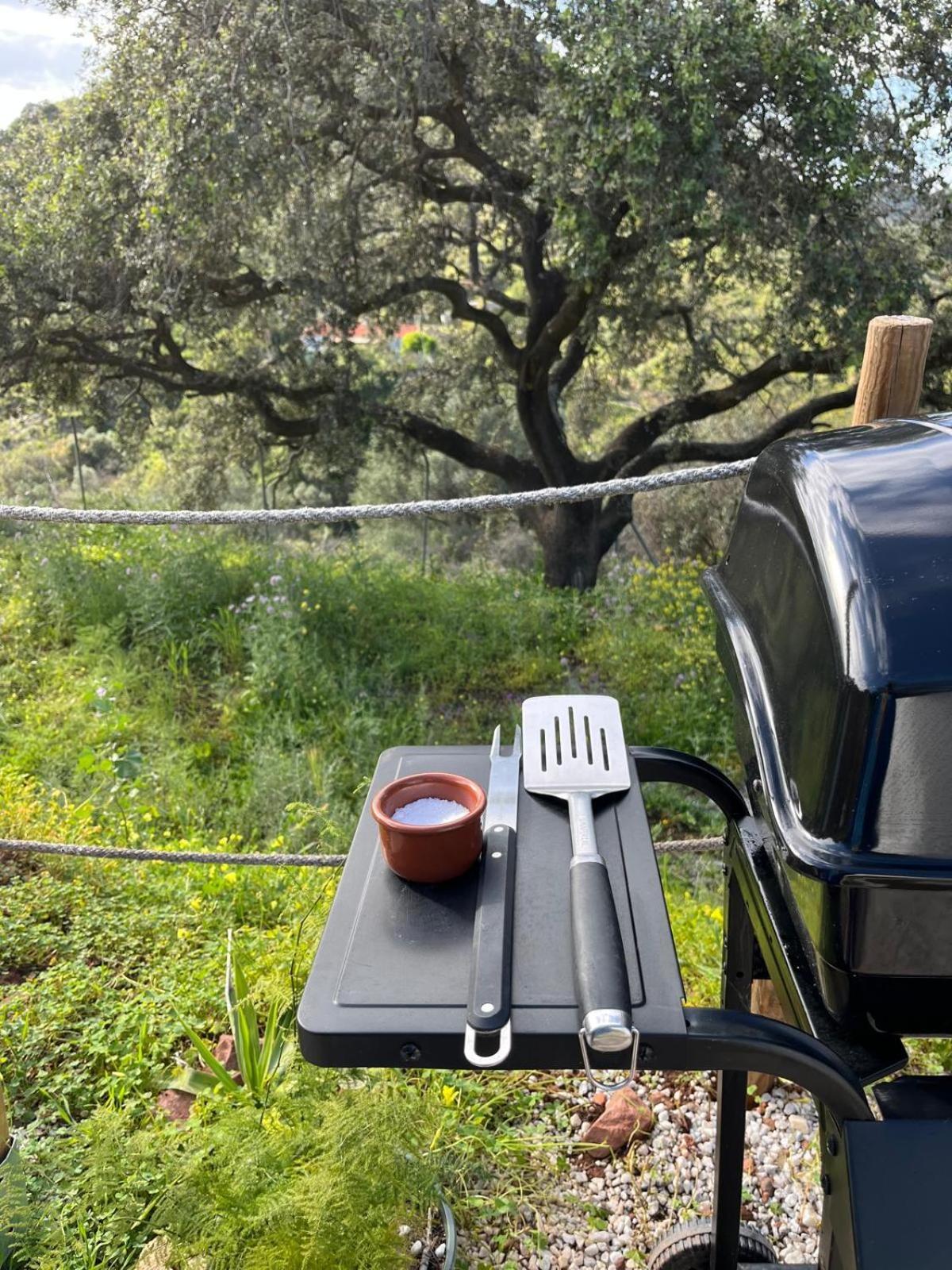 Glamping Burbuja Almendros Malaga